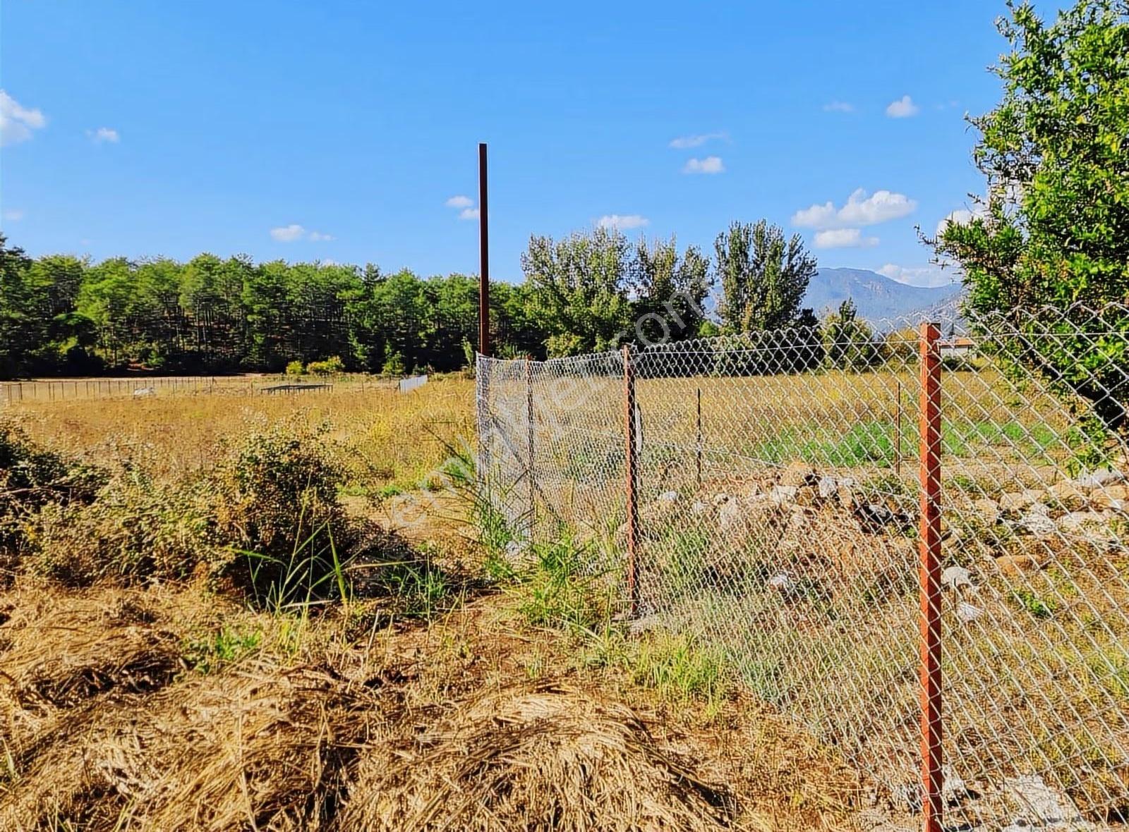 Zeytinalanı 500 M2 Satılık 2b Bahçe. - Görsel 15