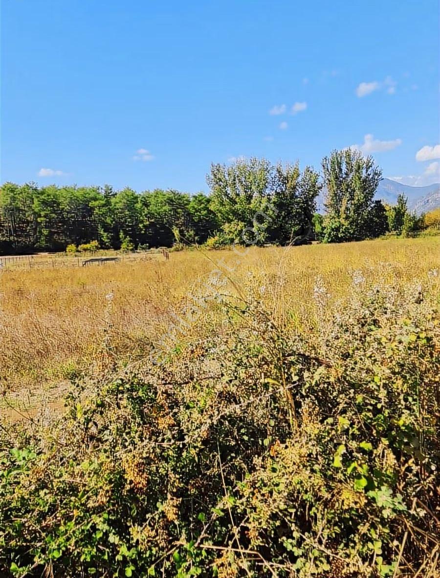 Zeytinalanı 500 M2 Satılık 2b Bahçe. - Görsel 4