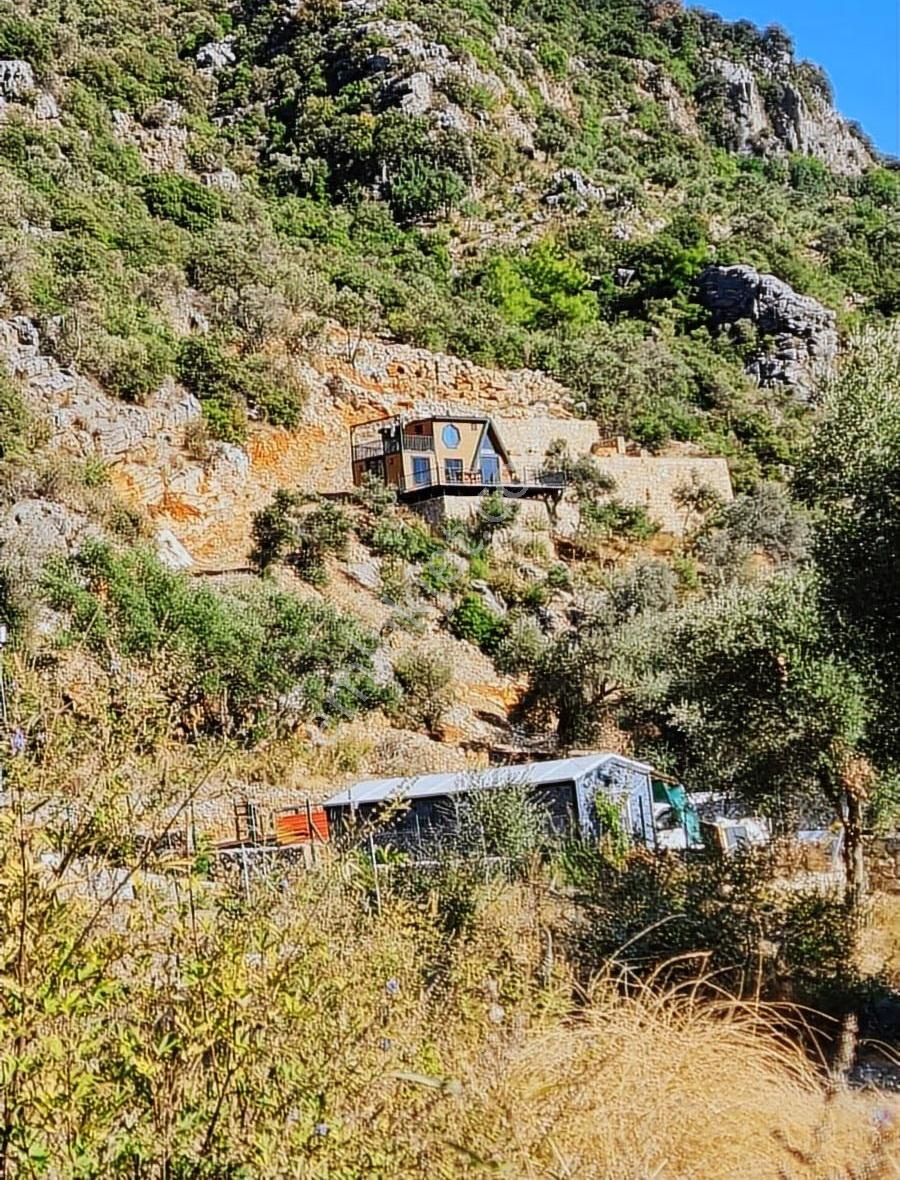 Köycegiz Yangı Da 4 Adet 400 M2 Lik Satılık Parsel. - Görsel 16