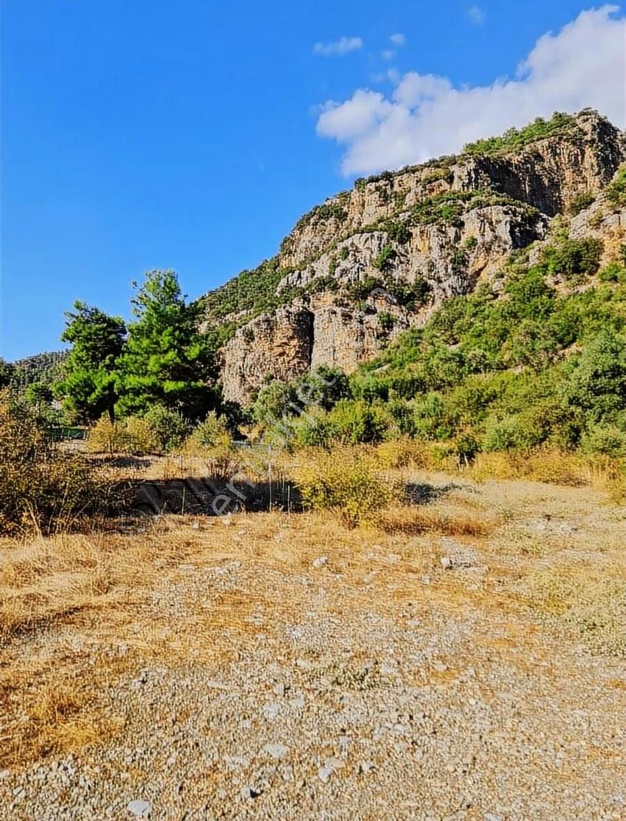 Köycegiz Yangı Da 4 Adet 400 M2 Lik Satılık Parsel. - Görsel 18