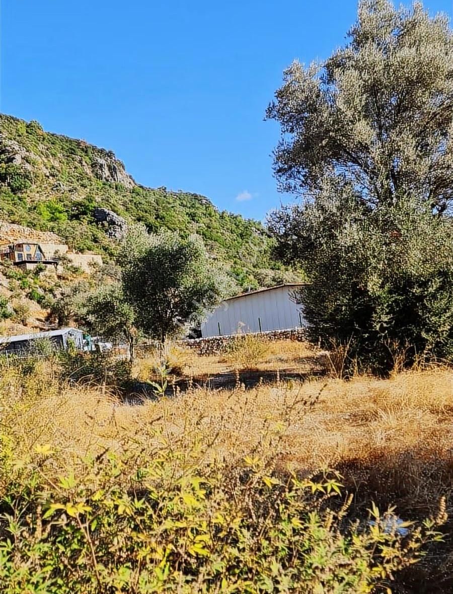 Köycegiz Yangı Da 4 Adet 400 M2 Lik Satılık Parsel. - Görsel 8