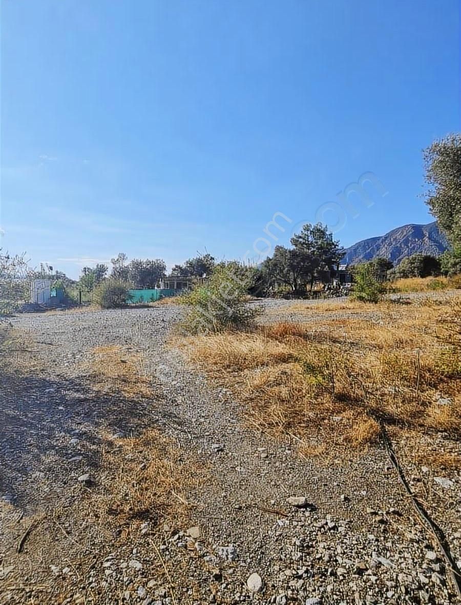 Köycegiz Yangı Da 4 Adet 400 M2 Lik Satılık Parsel. - Görsel 17