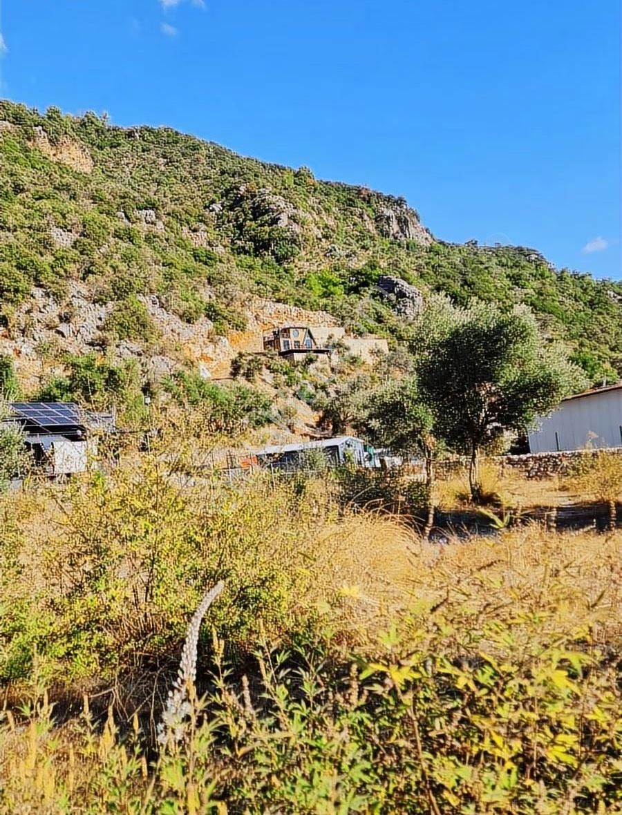 Köycegiz Yangı Da 4 Adet 400 M2 Lik Satılık Parsel. - Görsel 15