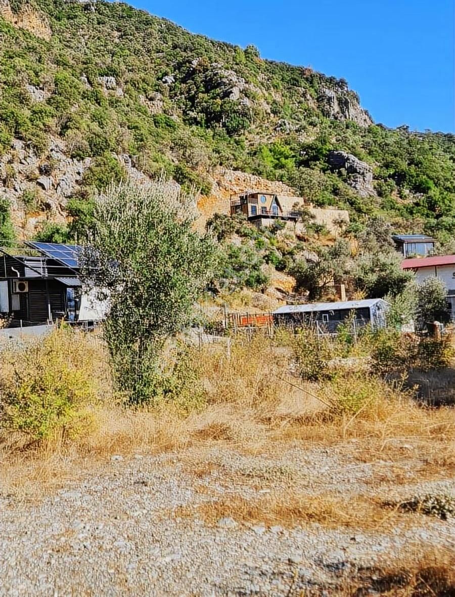 Köycegiz Yangı Da 4 Adet 400 M2 Lik Satılık Parsel. - Görsel 33