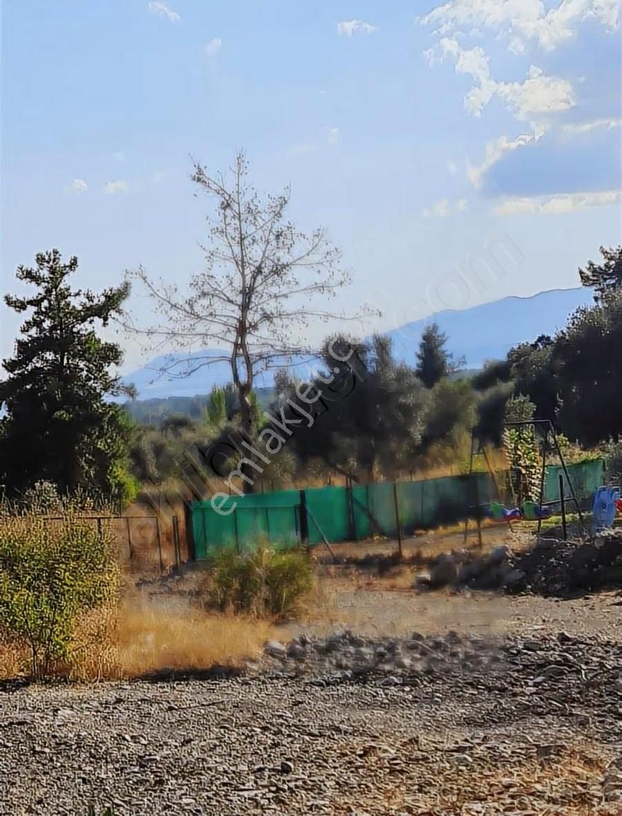 Köycegiz Yangı Da 4 Adet 400 M2 Lik Satılık Parsel. - Görsel 23