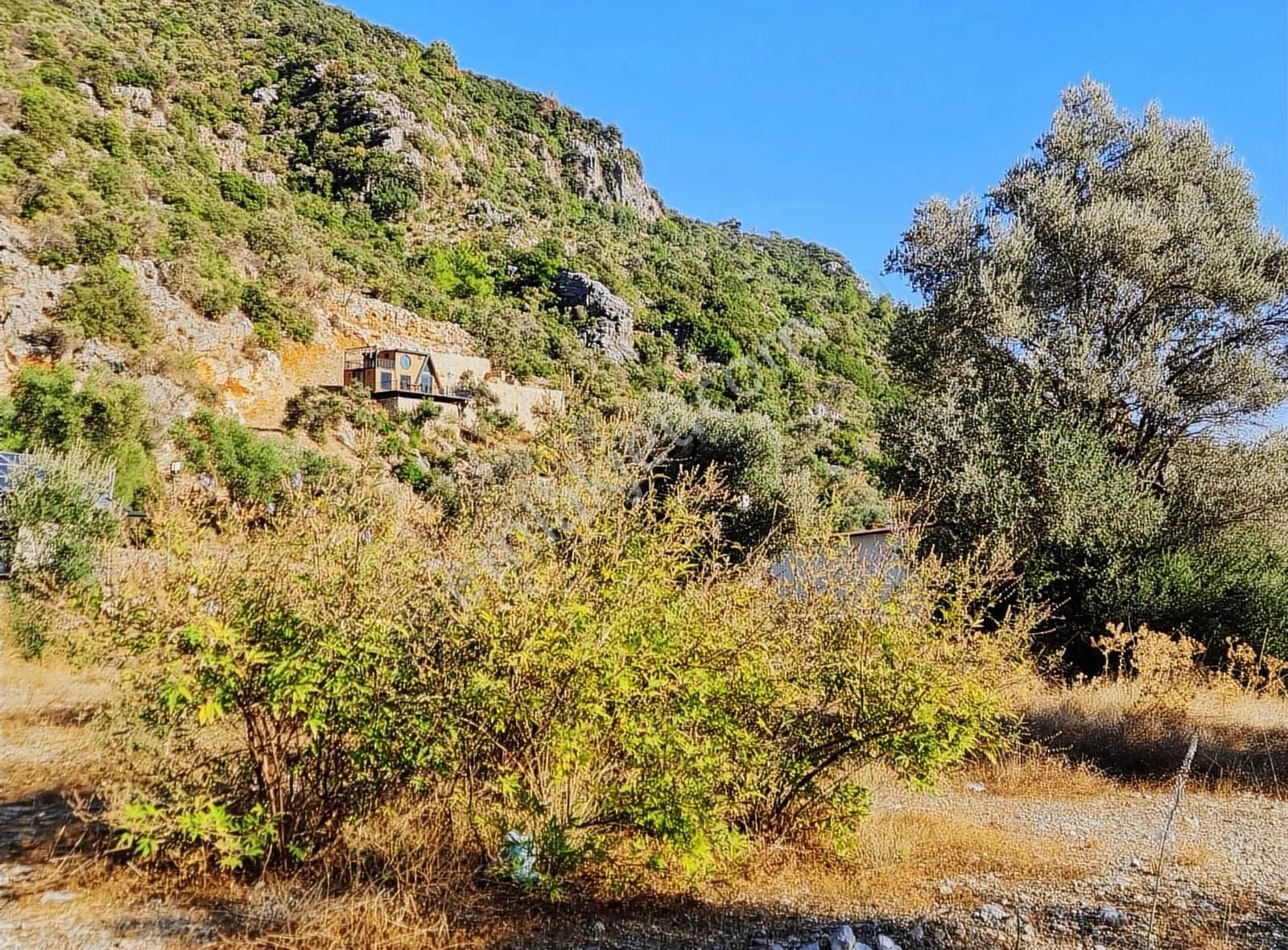 Köycegiz Yangı Da 4 Adet 400 M2 Lik Satılık Parsel. - Görsel 35