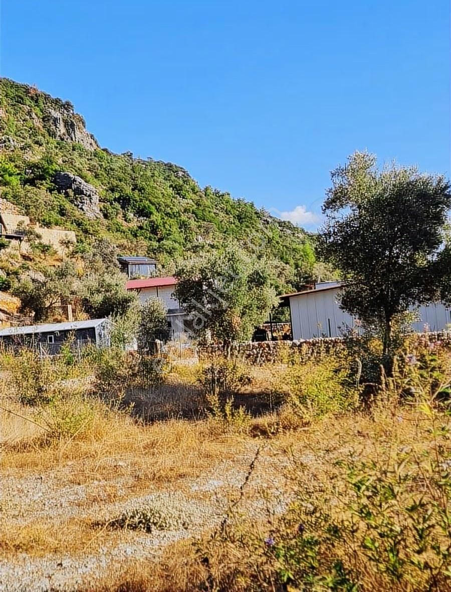 Köycegiz Yangı Da 4 Adet 400 M2 Lik Satılık Parsel. - Görsel 12