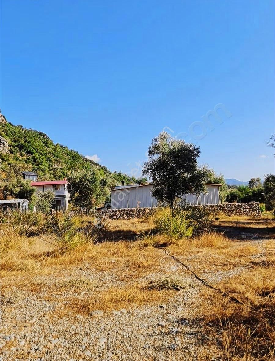 Köycegiz Yangı Da 4 Adet 400 M2 Lik Satılık Parsel. - Görsel 26