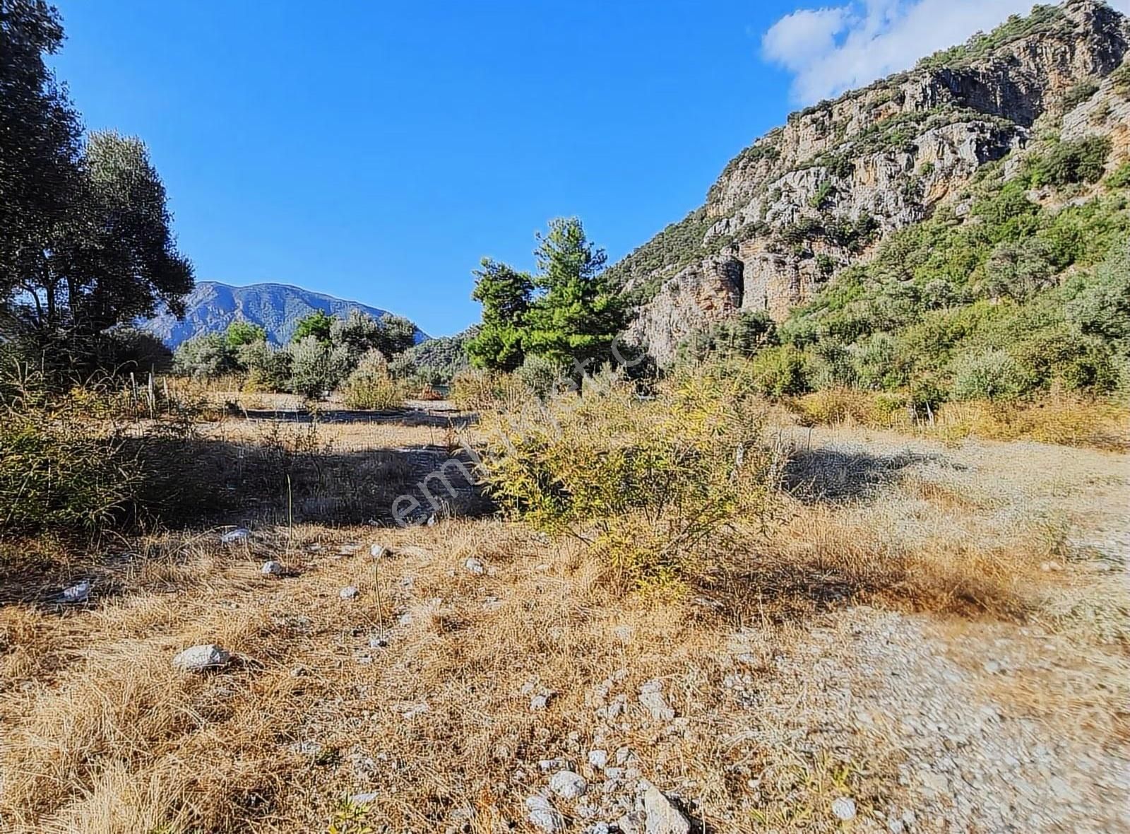 Köycegiz Yangı Da 4 Adet 400 M2 Lik Satılık Parsel. - Görsel 29