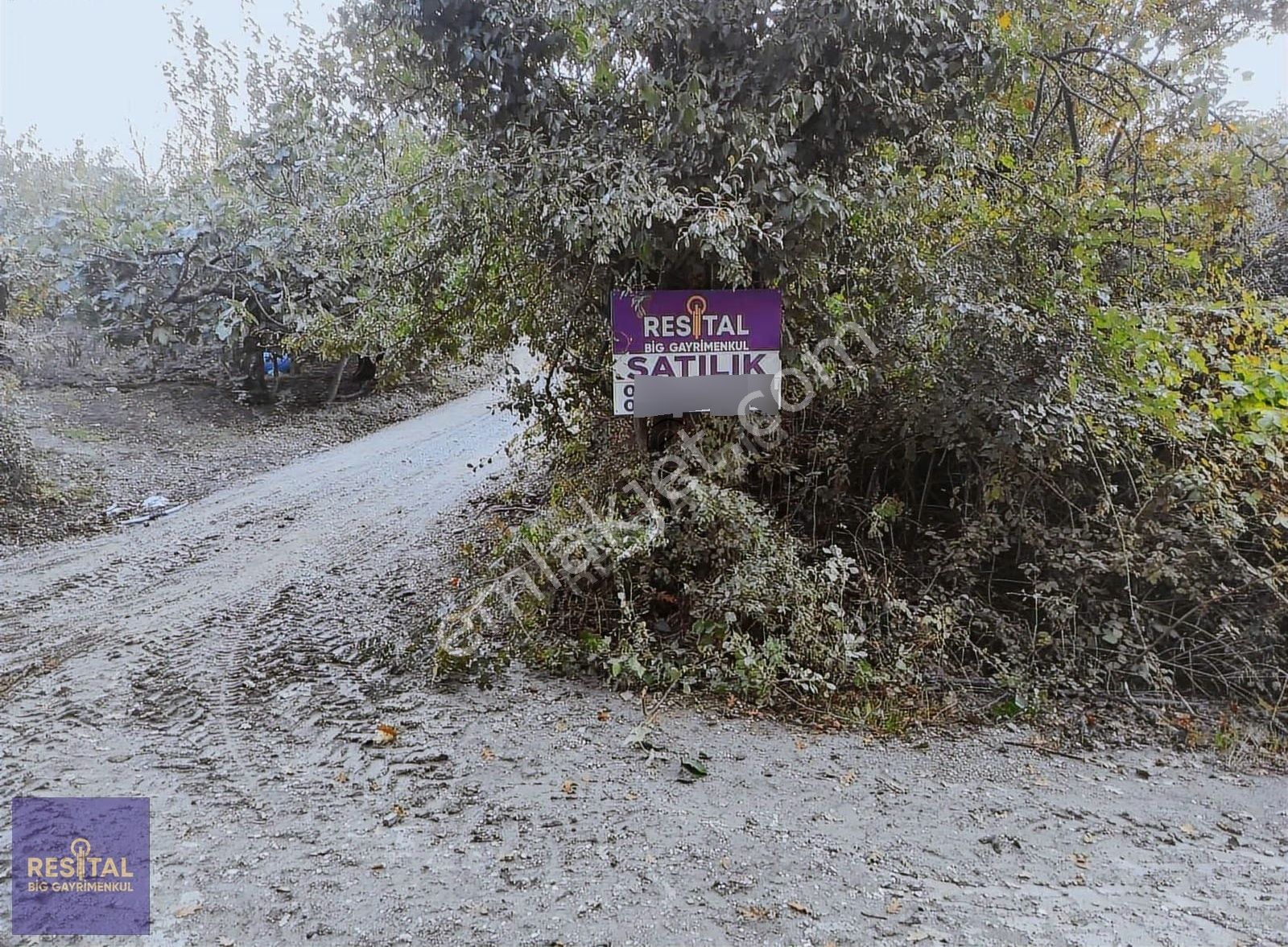 Katırlı Mah İçinde 1870m² Zeytinlik Resital Big Gayrimenkulde