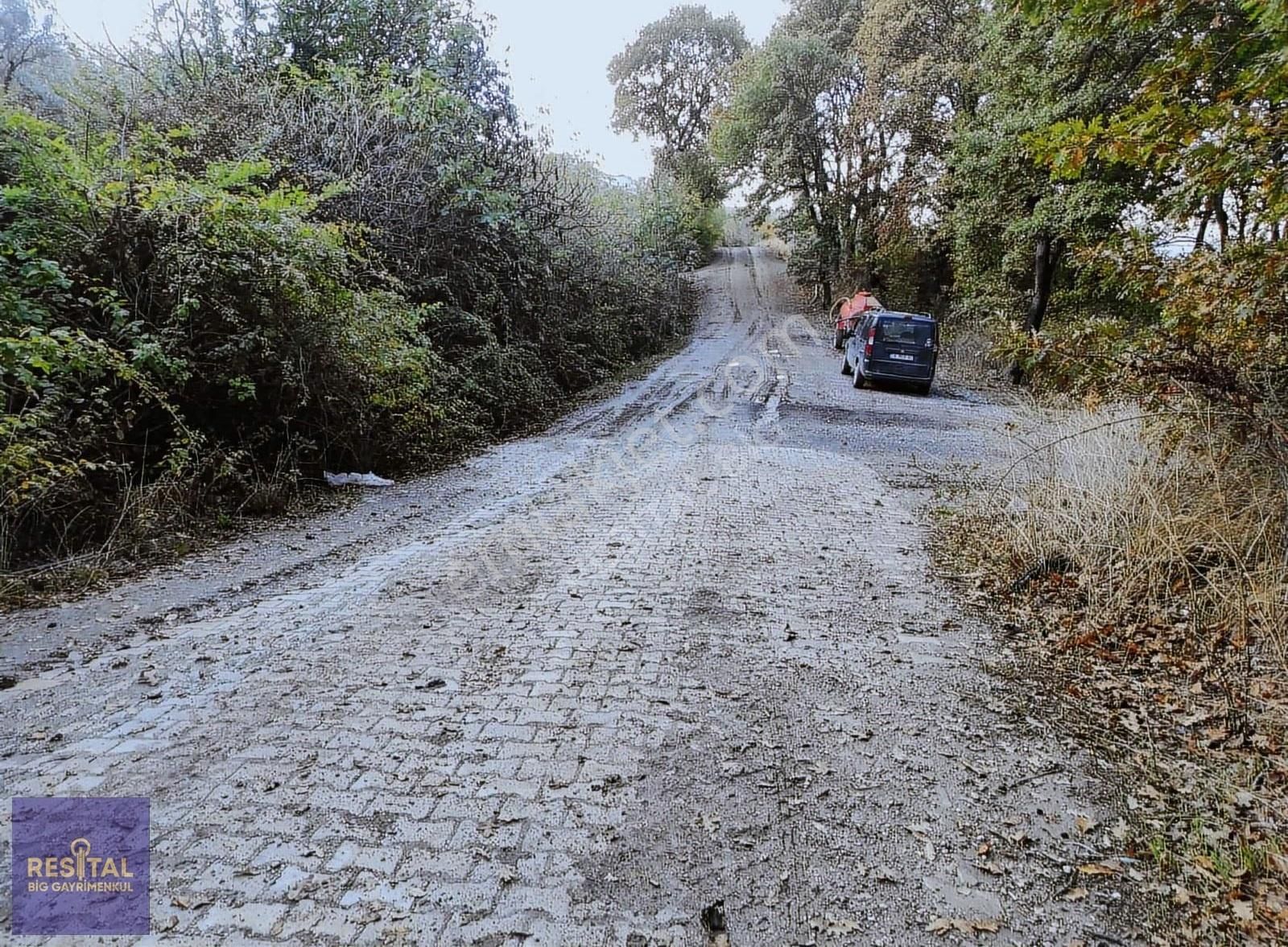 Katırlı Mah İçinde 1870m² Zeytinlik Resital Big Gayrimenkulde - Görsel 16