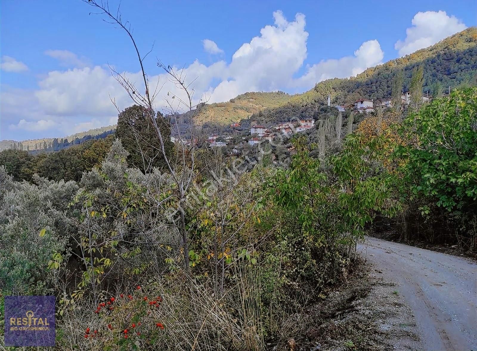 Katırlı Mah İçinde 1870m² Zeytinlik Resital Big Gayrimenkulde - Görsel 13