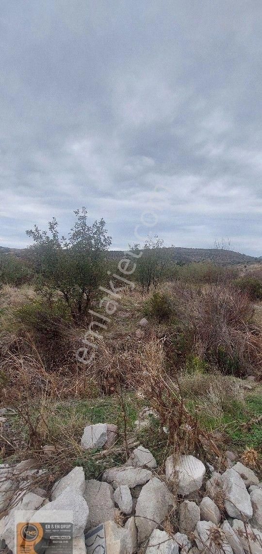 Dikili Kabakum Köyünde Kadastrol Yolu Mevcut 8620metrekare Tarla Satılık - Görsel 2