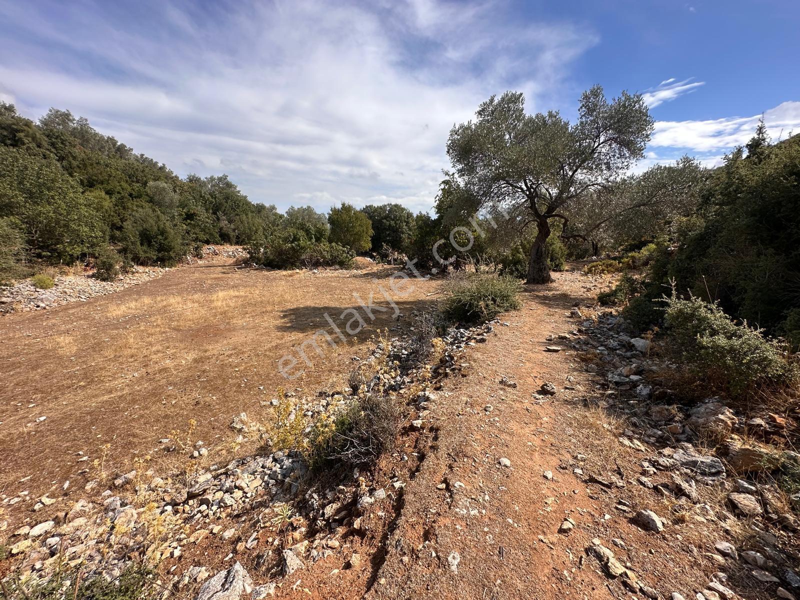 Stop’tan Seydikemer Dodurga 5.283m² Arazi - Görsel 8