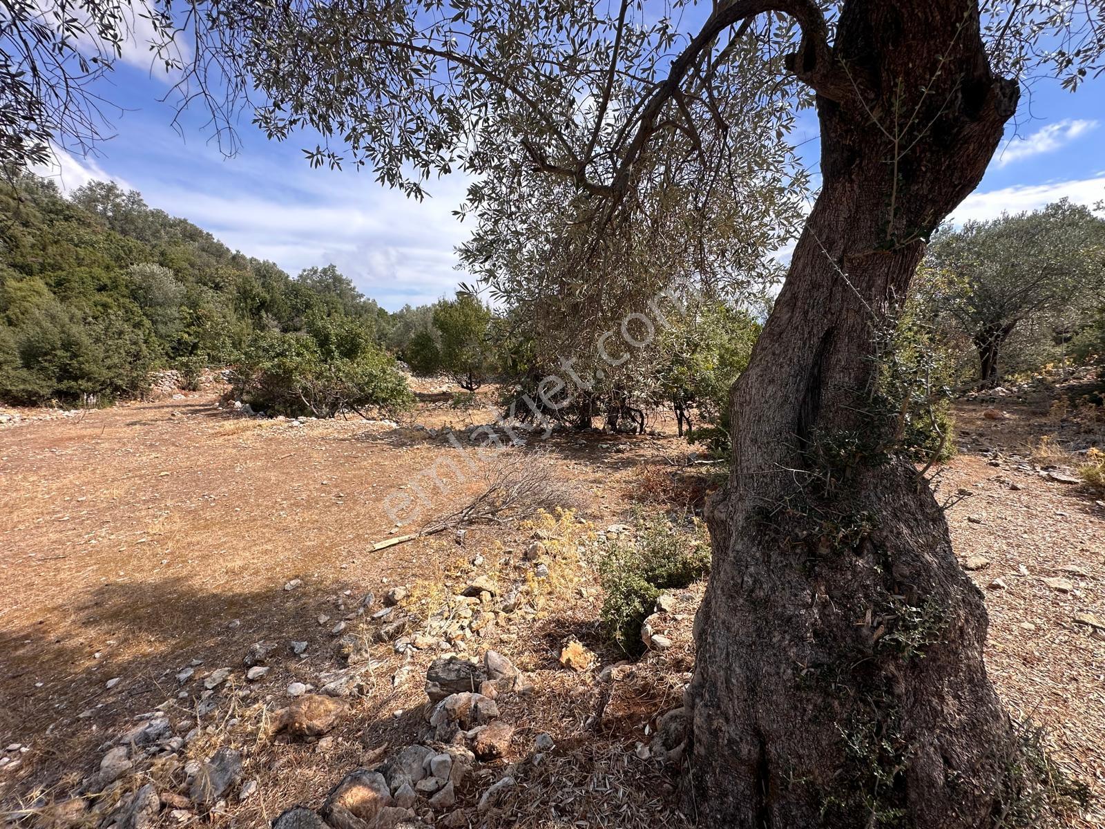 Stop’tan Seydikemer Dodurga 5.283m² Arazi - Görsel 9