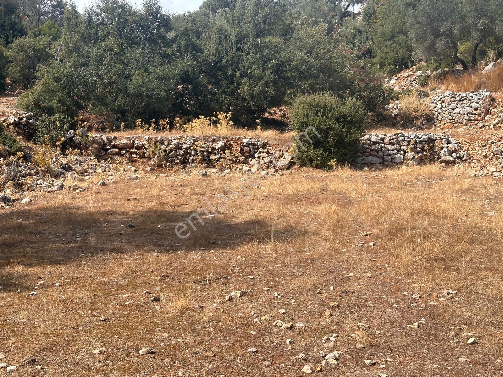 Stop’tan Seydikemer Dodurga 5.283m² Arazi - Görsel 11