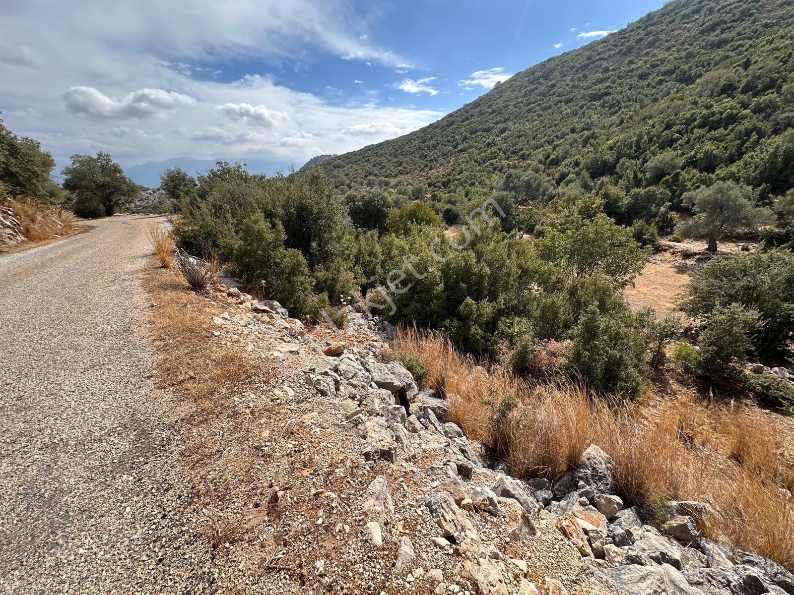 Stop’tan Seydikemer Dodurga 5.283m² Arazi - Görsel 2