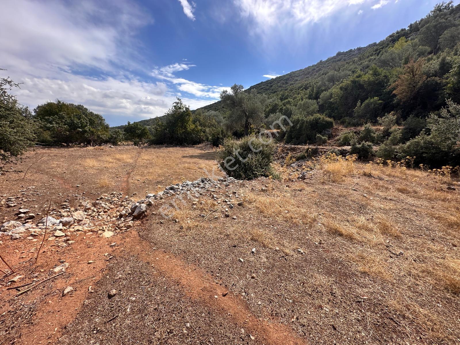 Stop’tan Seydikemer Dodurga 5.283m² Arazi - Görsel 4