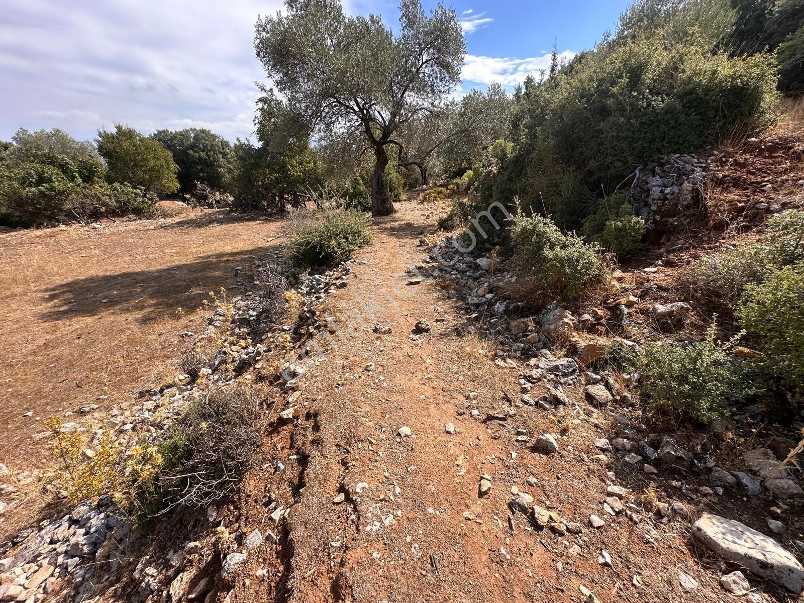 Stop’tan Seydikemer Dodurga 5.283m² Arazi - Görsel 7