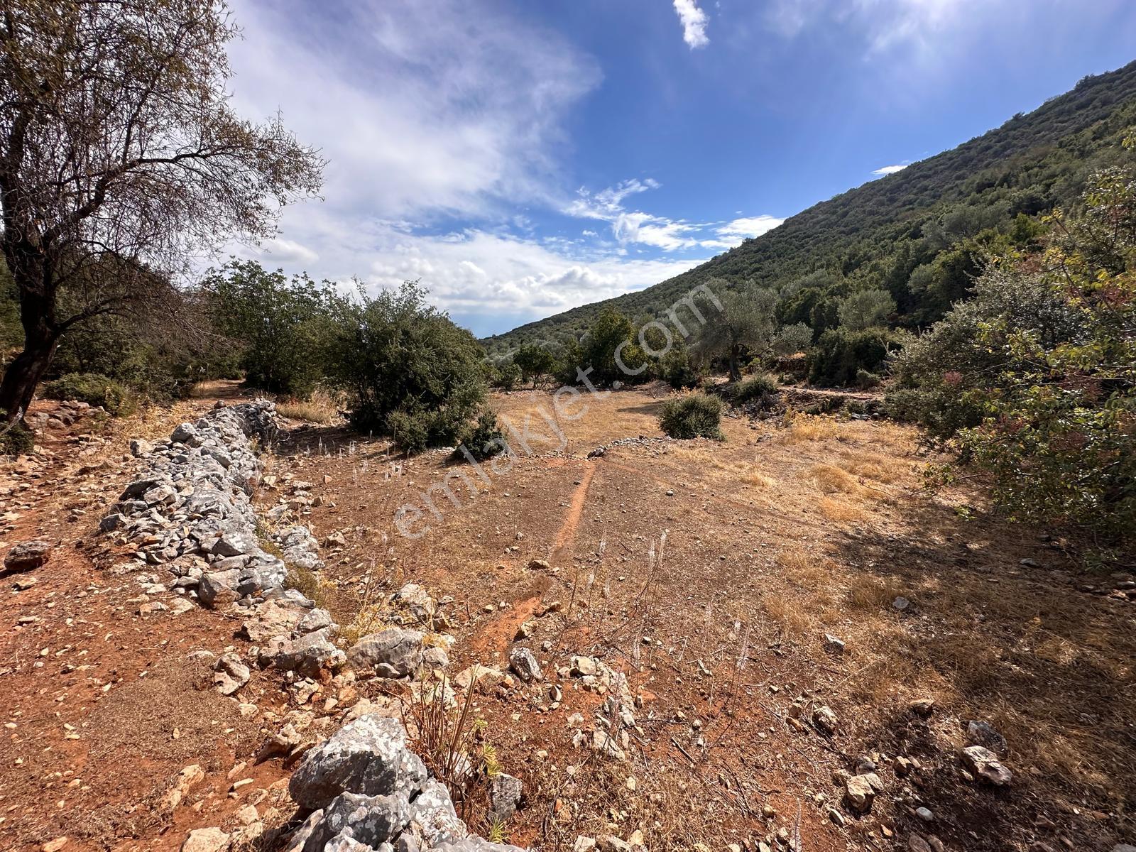 Stop’tan Seydikemer Dodurga 5.283m² Arazi - Görsel 6