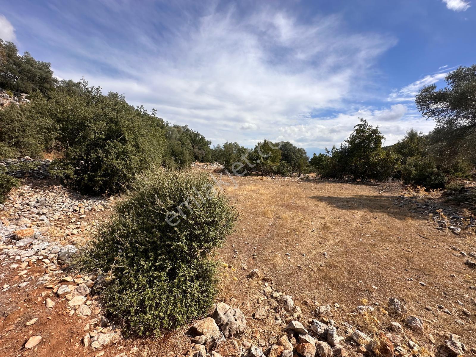 Stop’tan Seydikemer Dodurga 5.283m² Arazi - Görsel 5