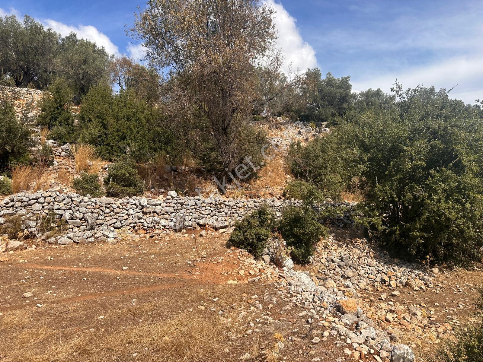 Stop’tan Seydikemer Dodurga 5.283m² Arazi - Görsel 13