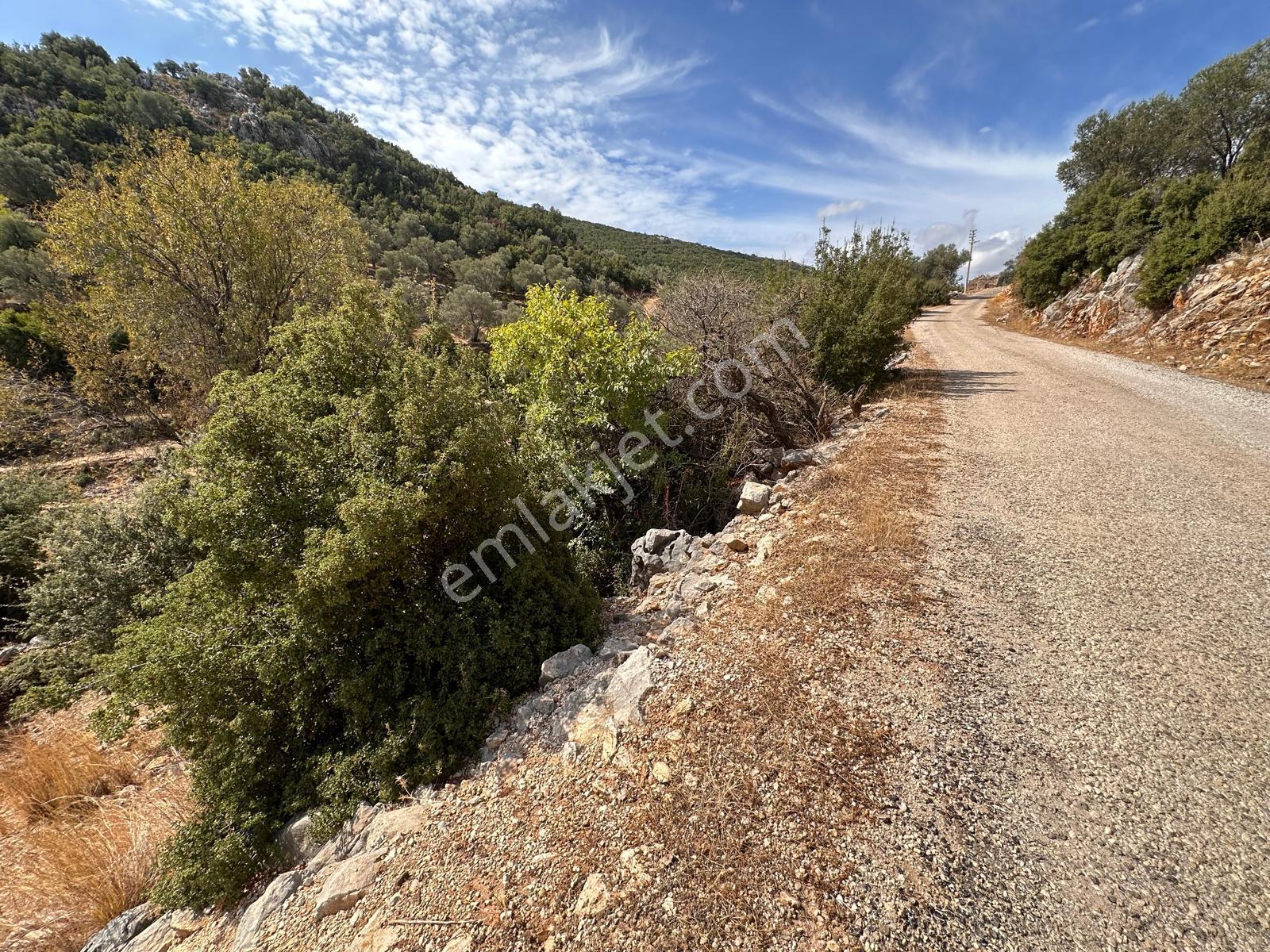 Stop’tan Seydikemer Dodurga 5.283m² Arazi - Görsel 3