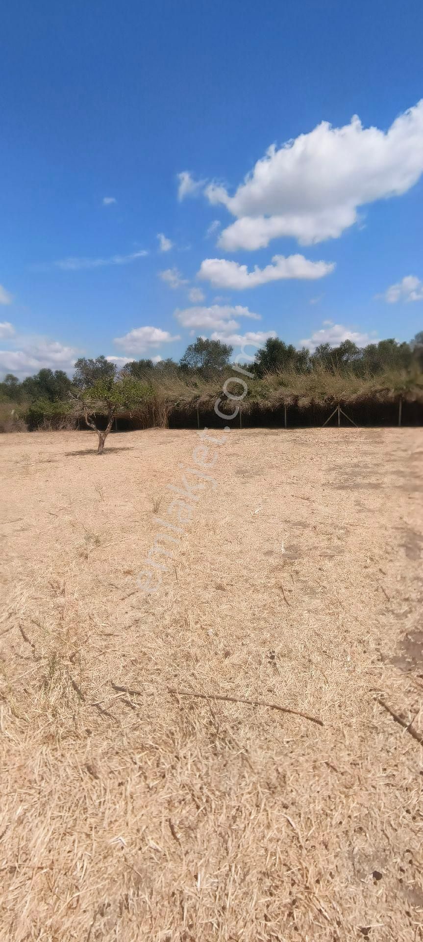 Edremit'te 753 M2 Kat Karşılığı Villa Arsası - Görsel 5