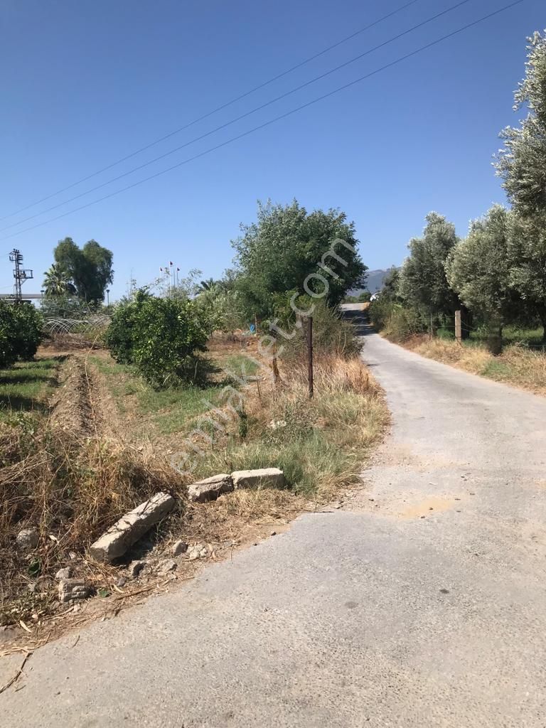 Hobi Bahçesi - Görsel 33