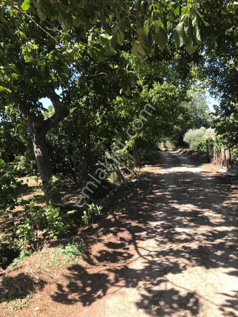 Hobi Bahçesi - Görsel 31