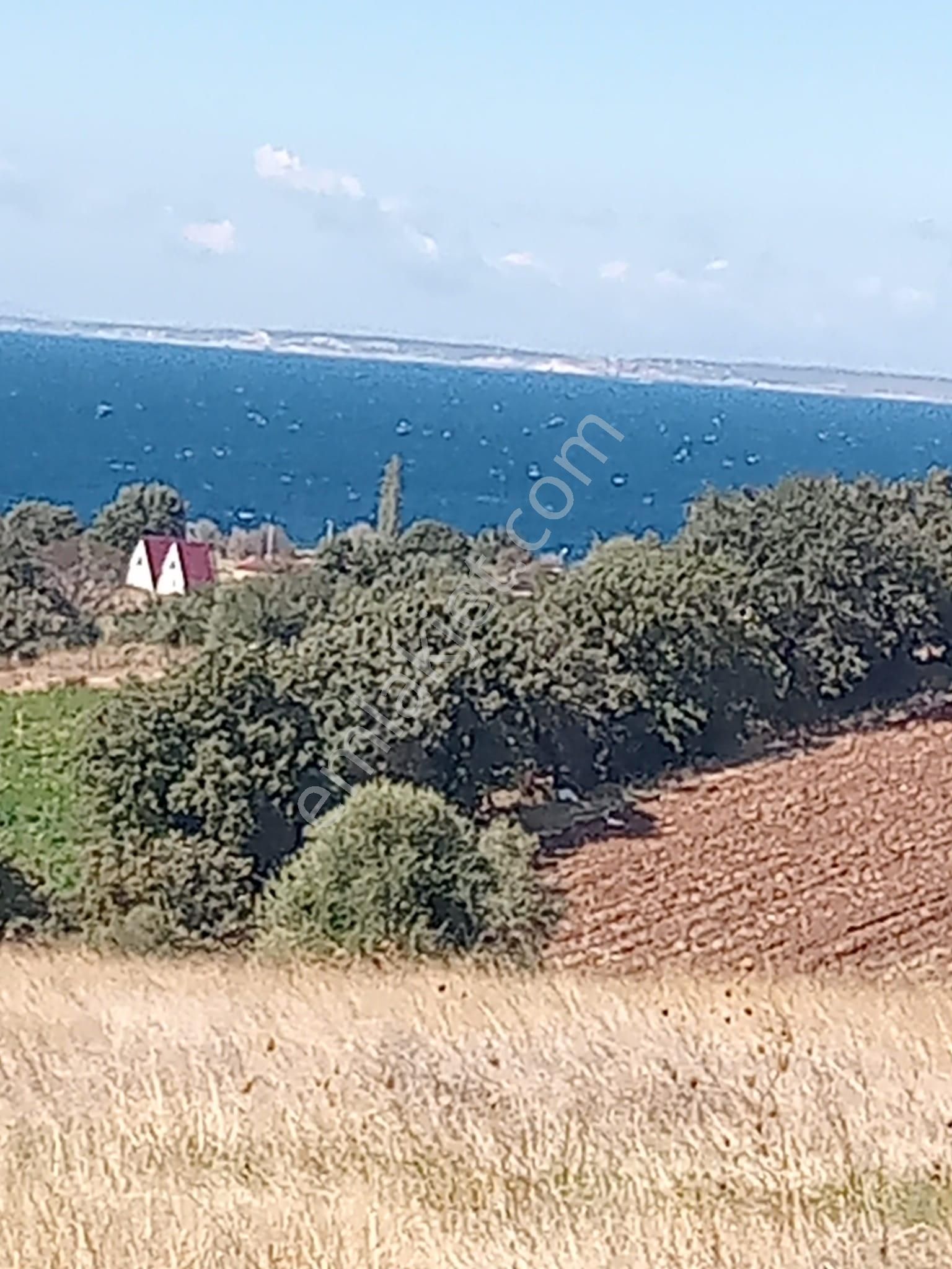 Ayvacık Kösedere Köyünde 18240 M2 Kapanmaz Deniz Manzaralı Tarla - Görsel 20