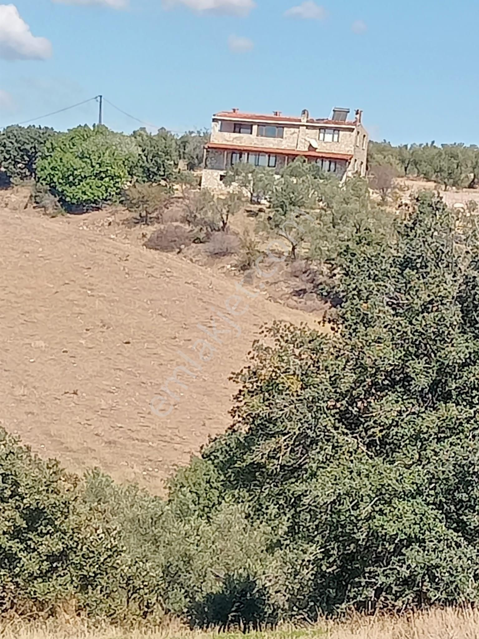 Ayvacık Kösedere Köyünde 18240 M2 Kapanmaz Deniz Manzaralı Tarla - Görsel 3