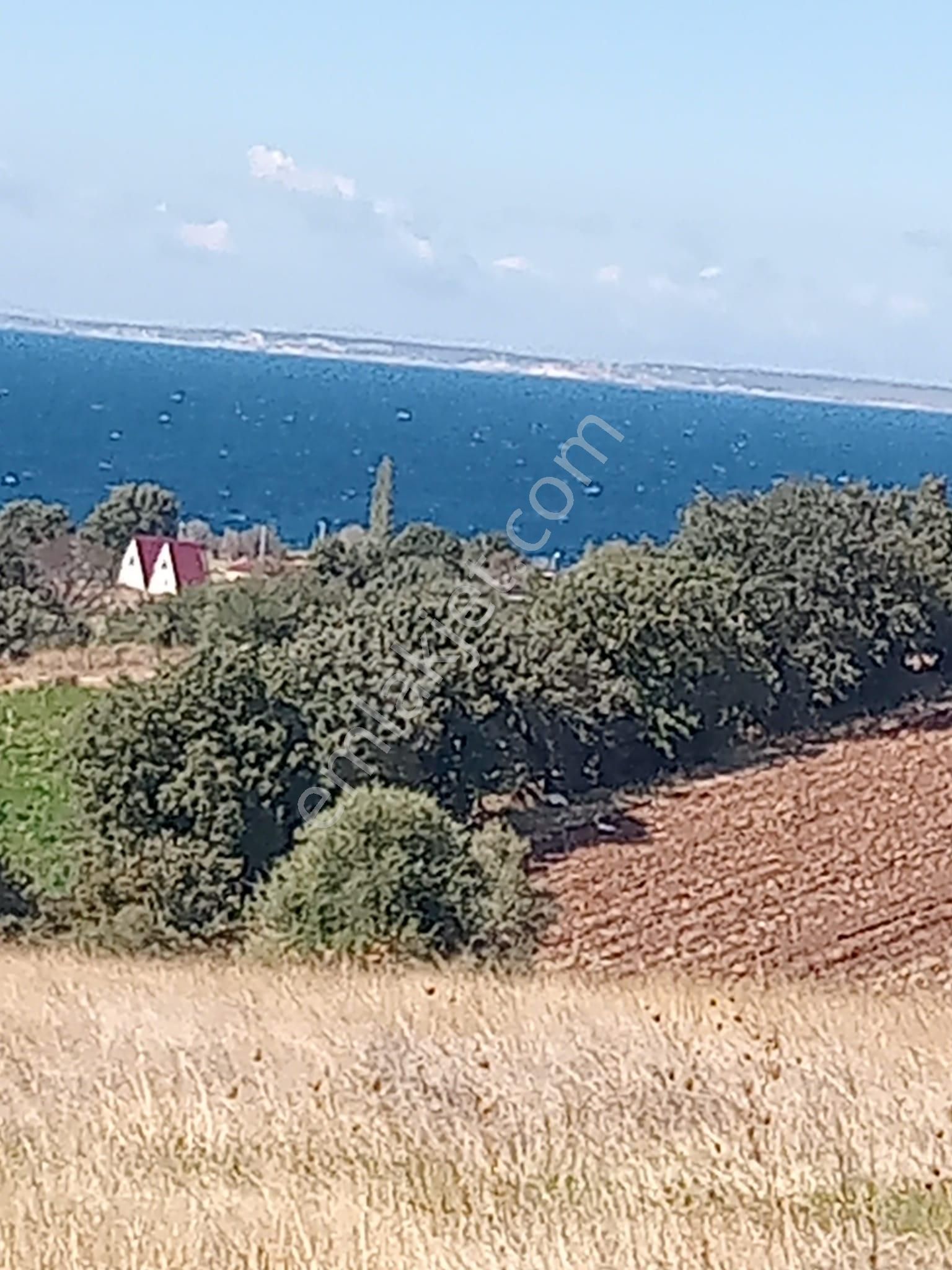 Ayvacık Kösedere Köyünde 18240 M2 Kapanmaz Deniz Manzaralı Tarla - Görsel 19