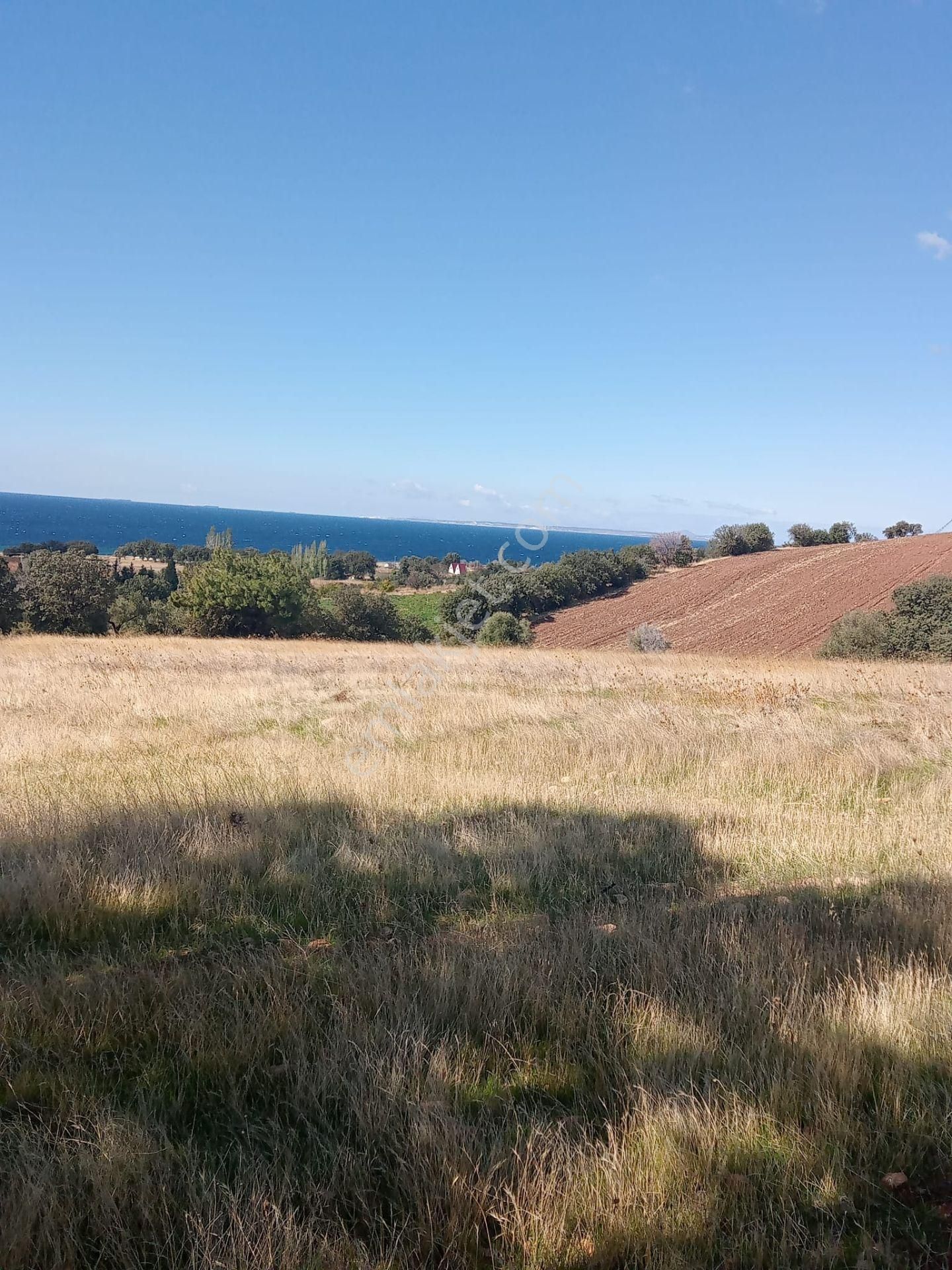 Ayvacık Kösedere Köyünde 18240 M2 Kapanmaz Deniz Manzaralı Tarla - Görsel 5