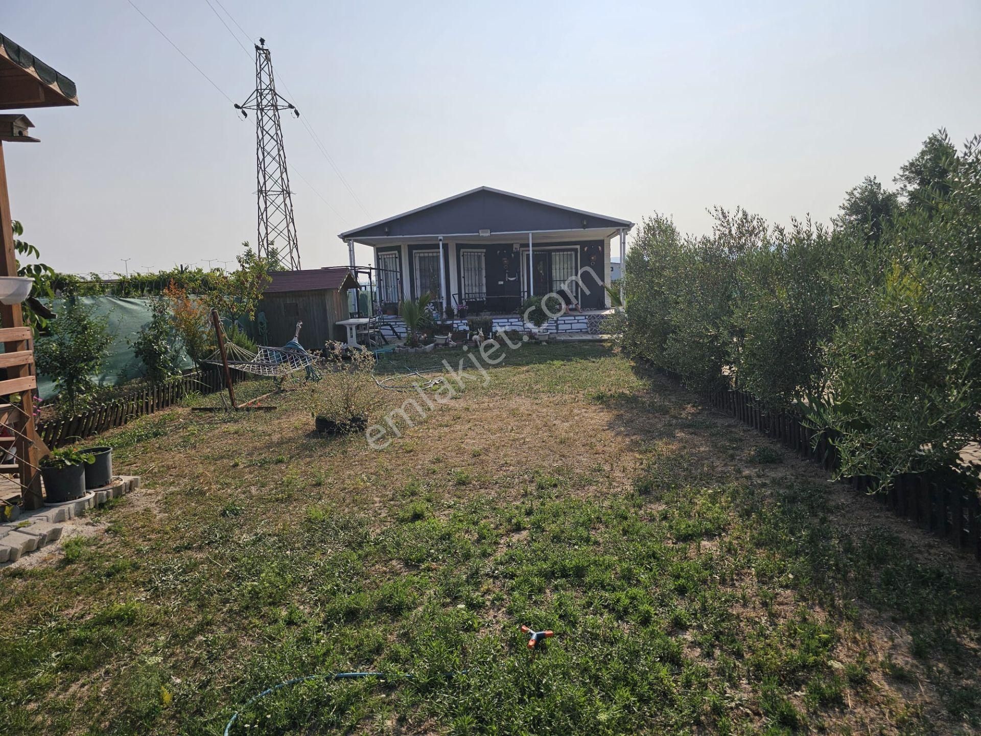 Acill Buca Karacağaç Mevki 1.665m2 İçerisinde Prefabrik Ev 'li Satılık Bahçe - Görsel 25