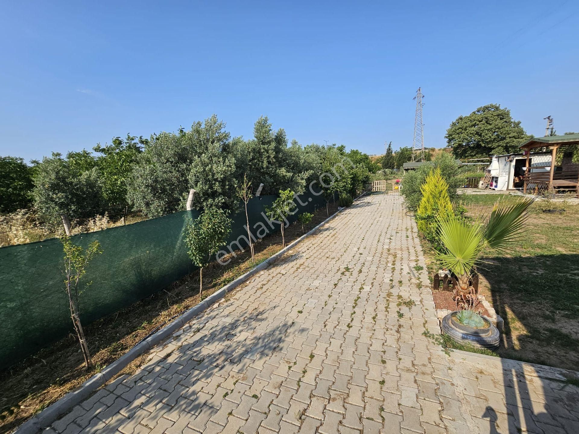 Acill Buca Karacağaç Mevki 1.665m2 İçerisinde Prefabrik Ev 'li Satılık Bahçe - Görsel 6