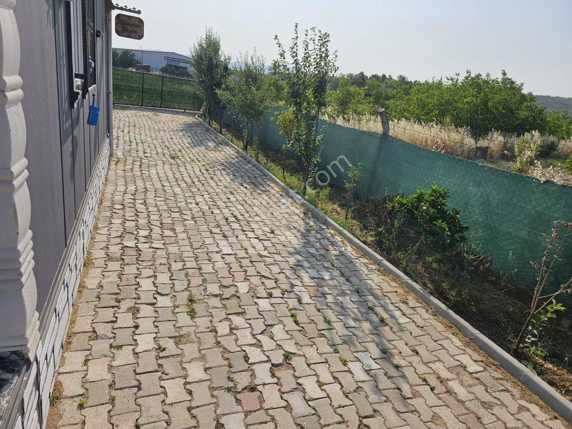 Acill Buca Karacağaç Mevki 1.665m2 İçerisinde Prefabrik Ev 'li Satılık Bahçe - Görsel 7