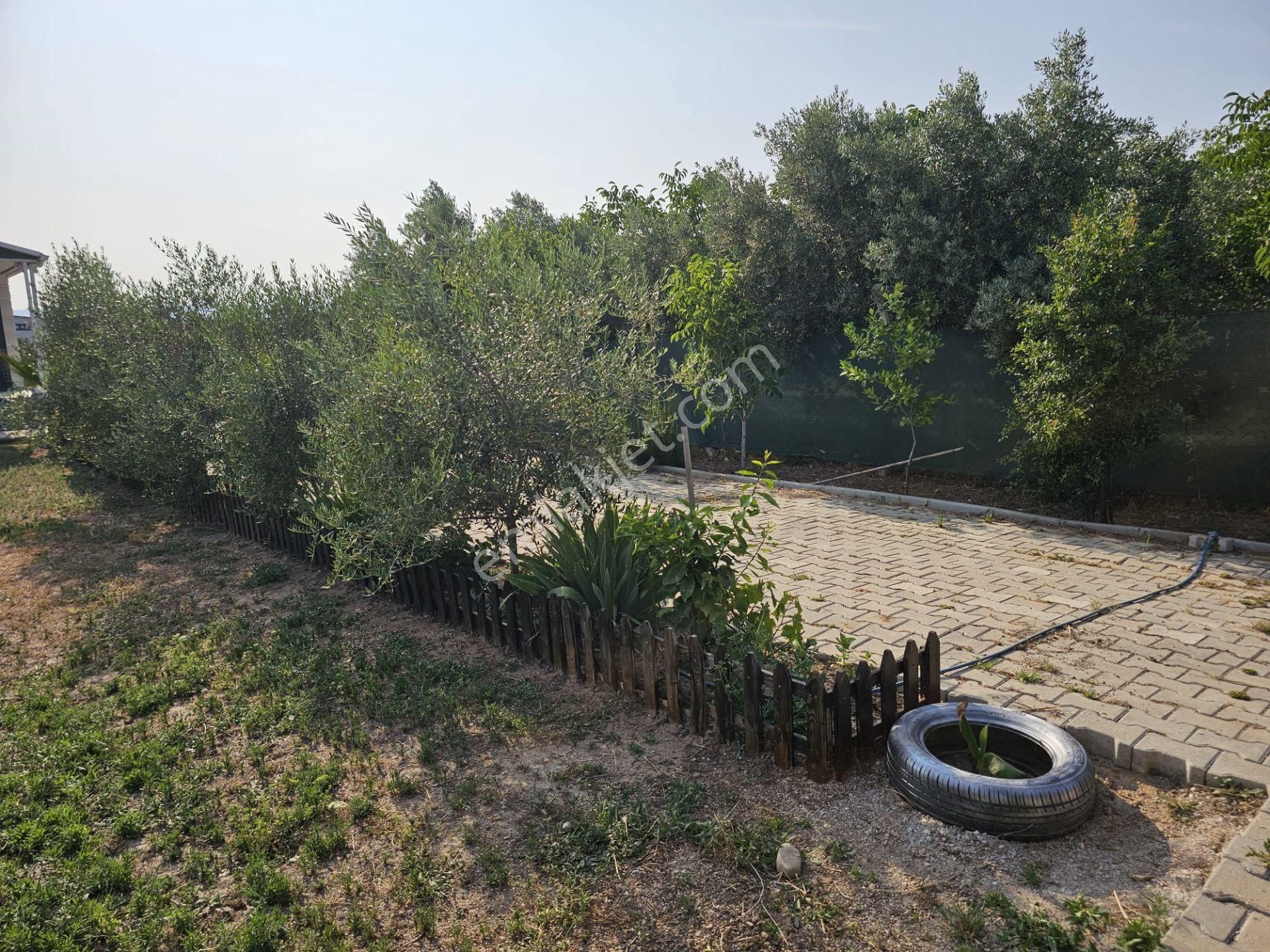 Acill Buca Karacağaç Mevki 1.665m2 İçerisinde Prefabrik Ev 'li Satılık Bahçe - Görsel 4