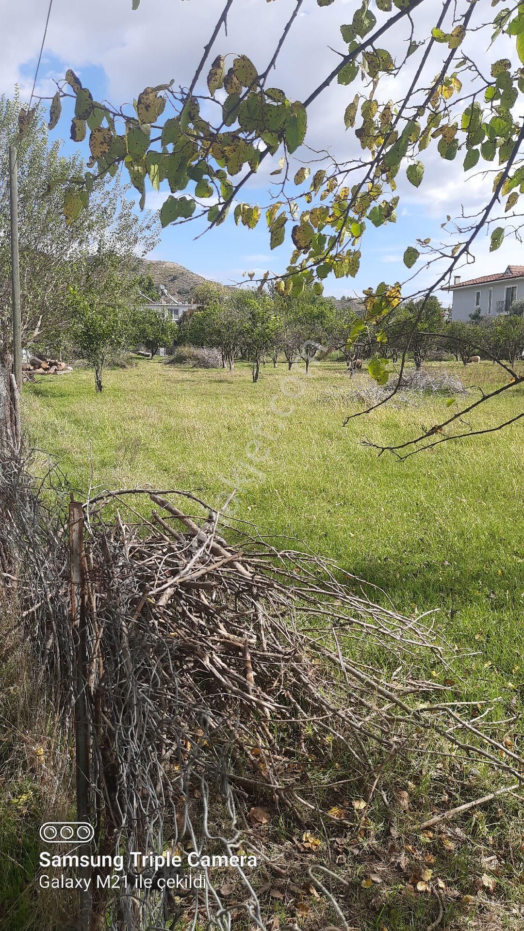 Fevziyede Satılık Rızai Taksimli 2510 M2 Yer.videosu Mevcut - Görsel 5