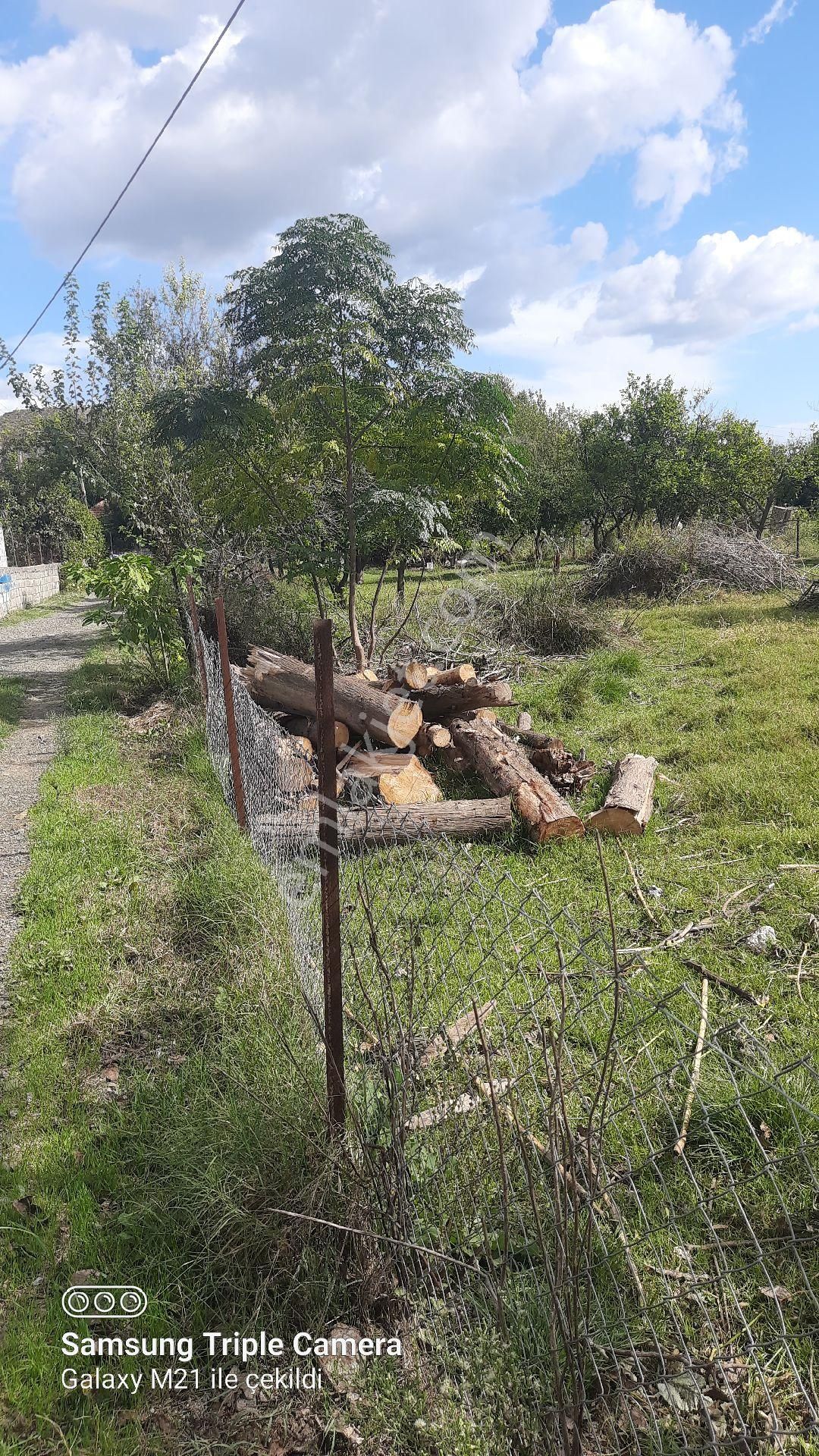 Fevziyede Satılık Rızai Taksimli 2510 M2 Yer.videosu Mevcut - Görsel 13