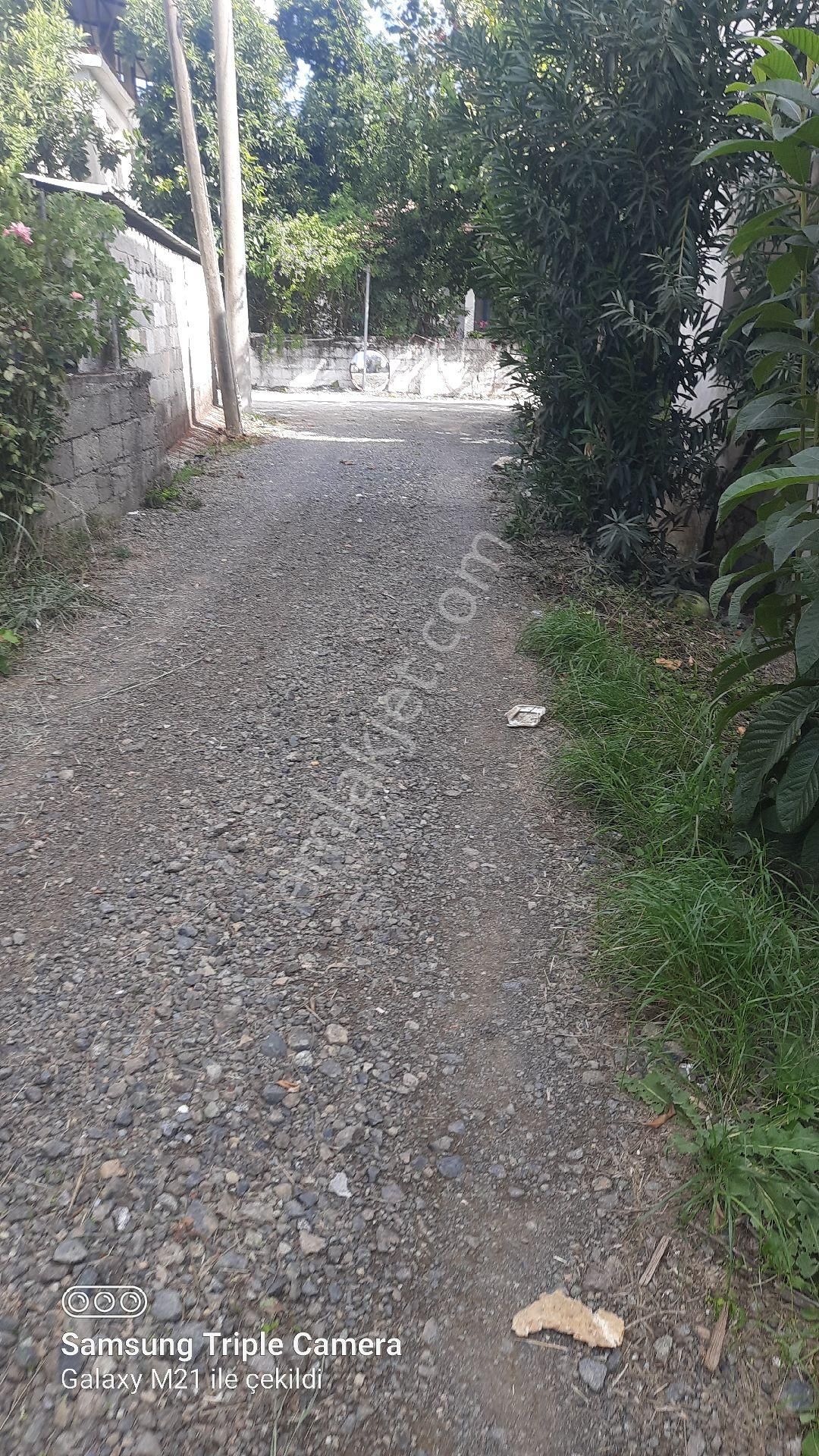 Fevziyede Satılık Rızai Taksimli 2510 M2 Yer.videosu Mevcut - Görsel 14