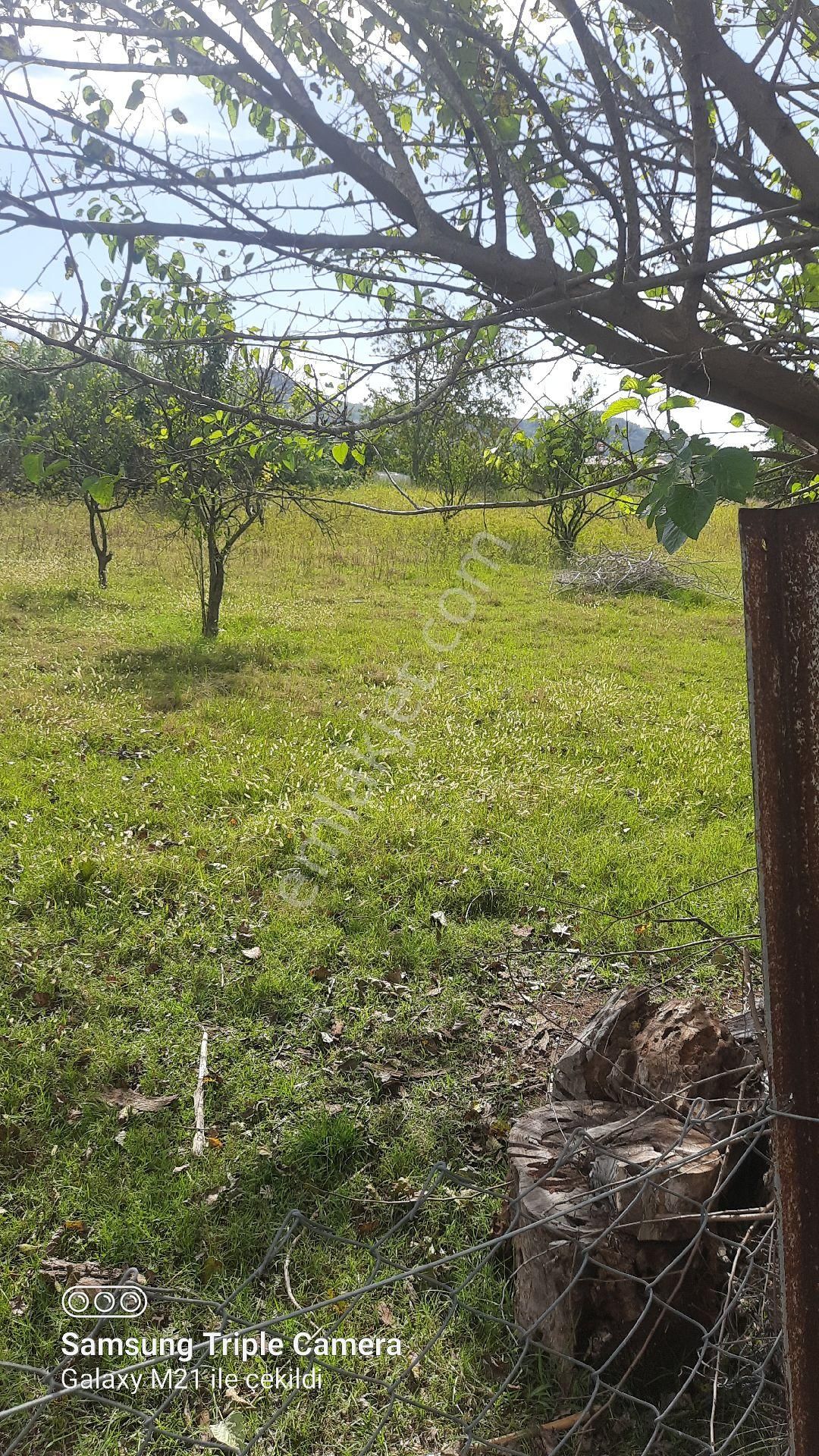 Fevziyede Satılık Rızai Taksimli 2510 M2 Yer.videosu Mevcut - Görsel 18