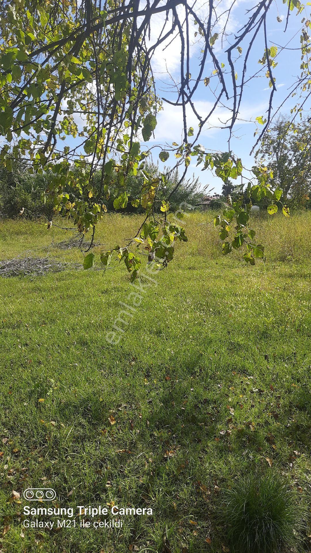 Fevziyede Satılık Rızai Taksimli 2510 M2 Yer.videosu Mevcut - Görsel 6