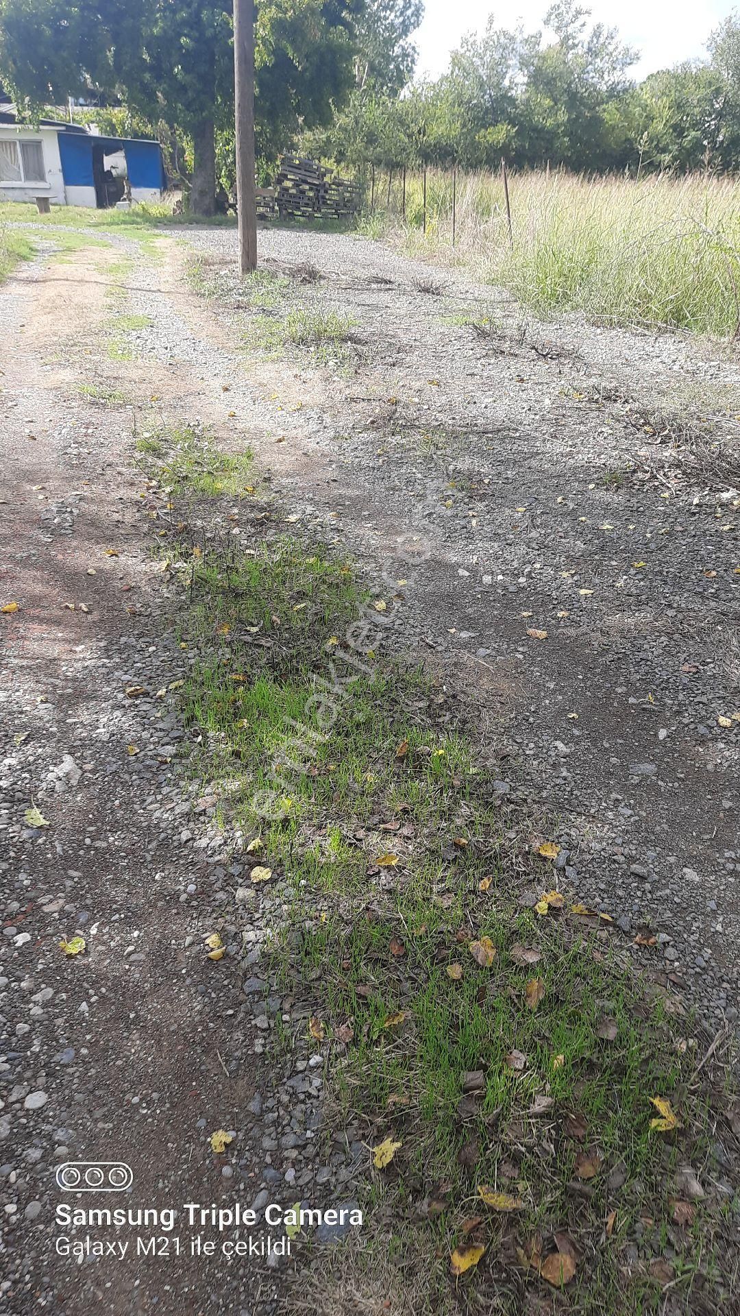 Fevziyede Satılık Rızai Taksimli 2510 M2 Yer.videosu Mevcut - Görsel 8