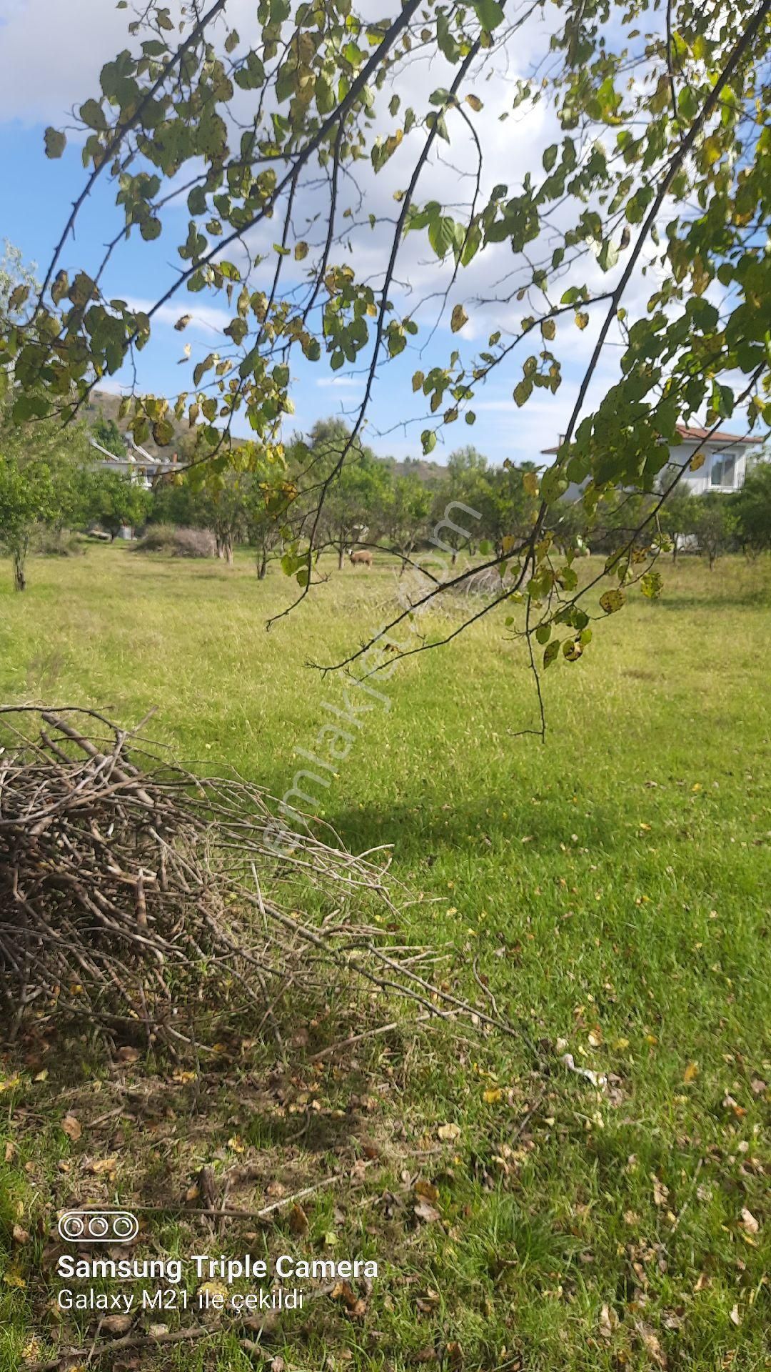 Fevziyede Satılık Rızai Taksimli 2510 M2 Yer.videosu Mevcut - Görsel 3