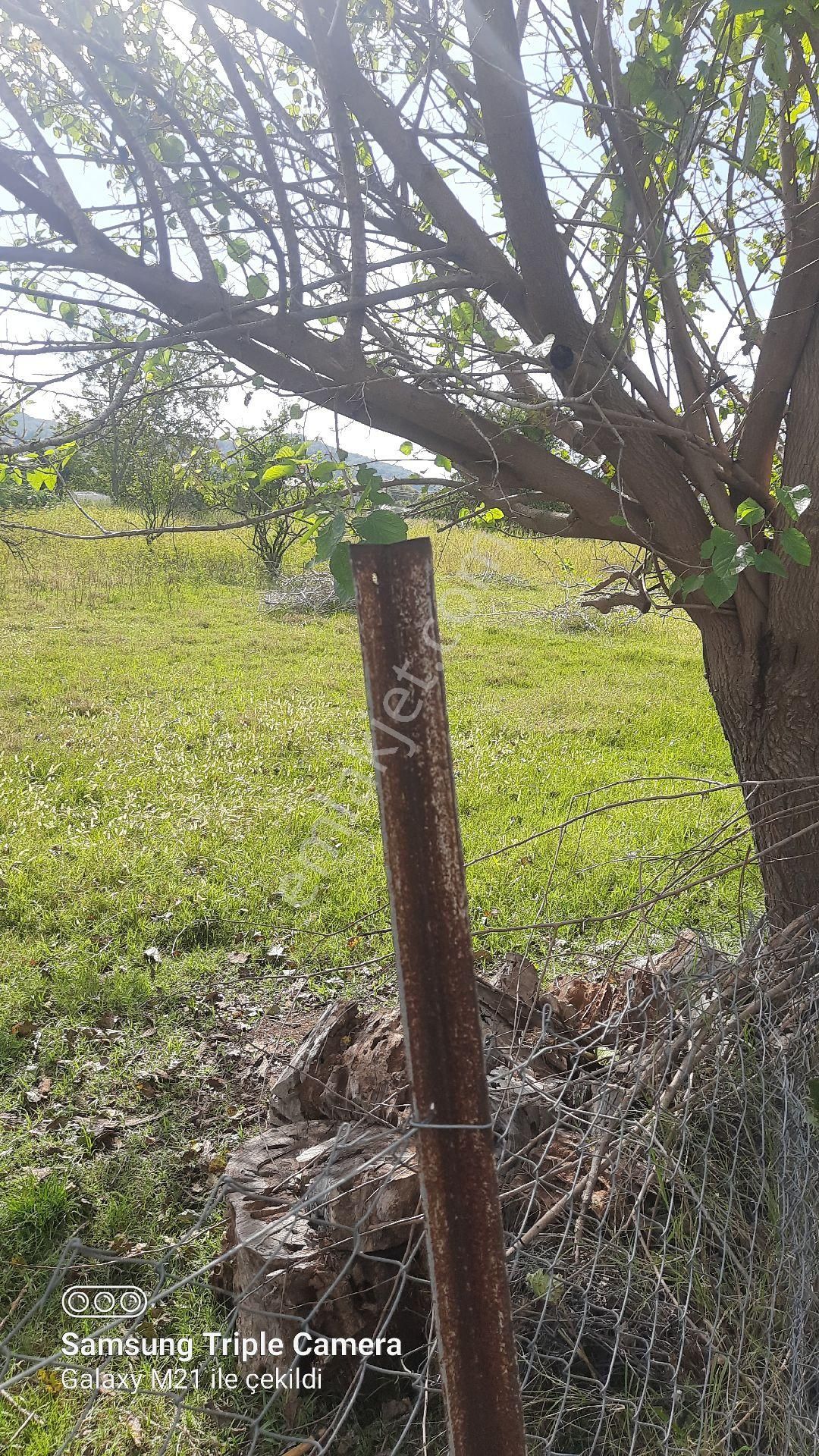 Fevziyede Satılık Rızai Taksimli 2510 M2 Yer.videosu Mevcut - Görsel 9