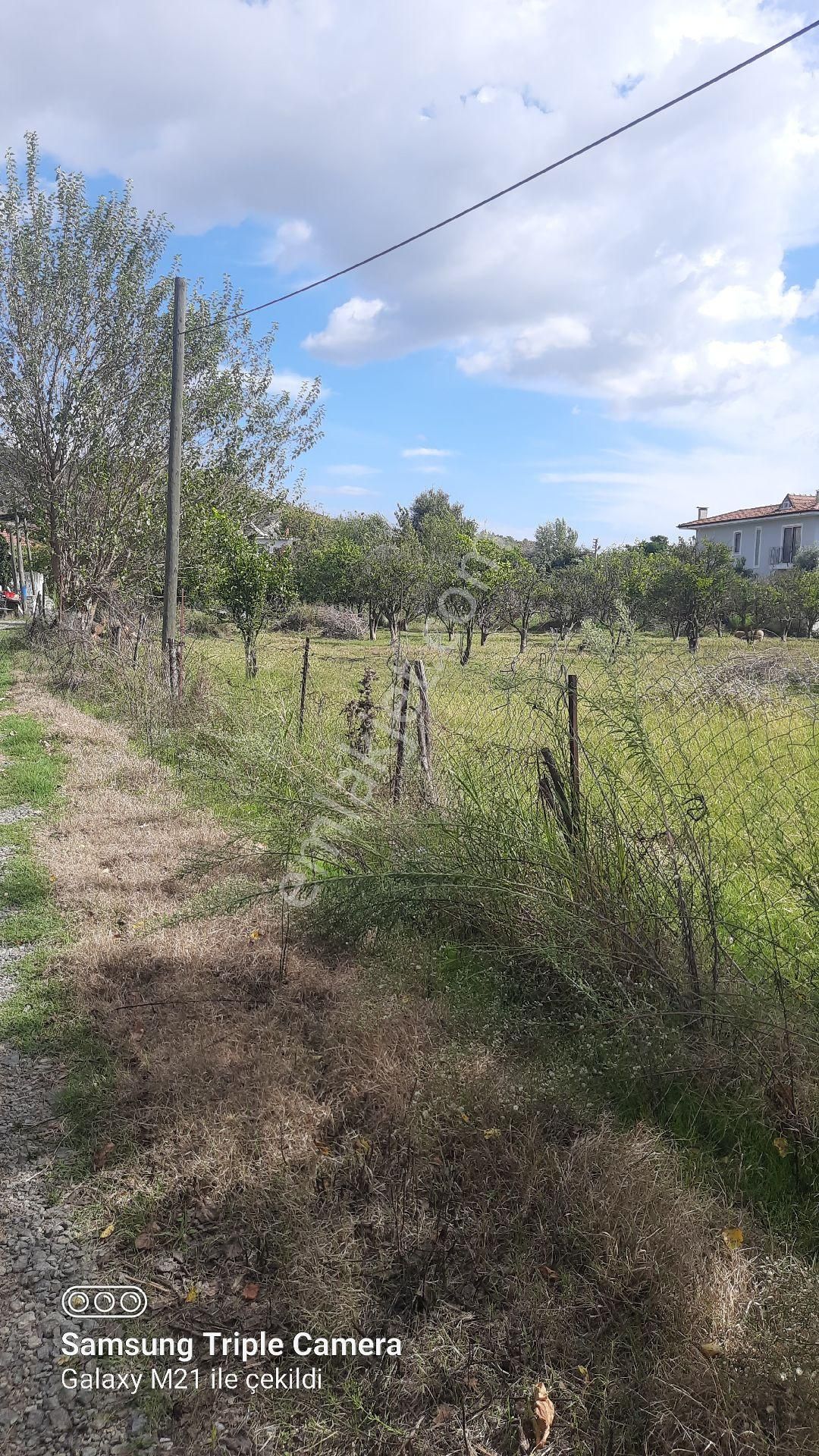 Fevziyede Satılık Rızai Taksimli 2510 M2 Yer.videosu Mevcut - Görsel 4