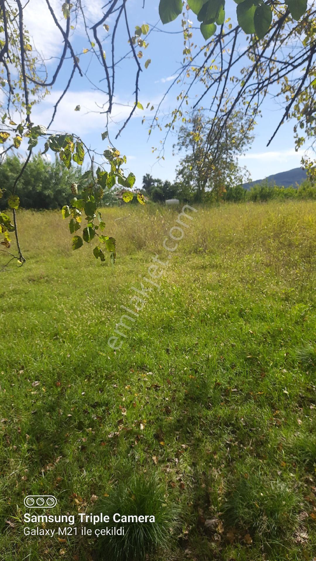 Fevziyede Satılık Rızai Taksimli 2510 M2 Yer.videosu Mevcut - Görsel 2