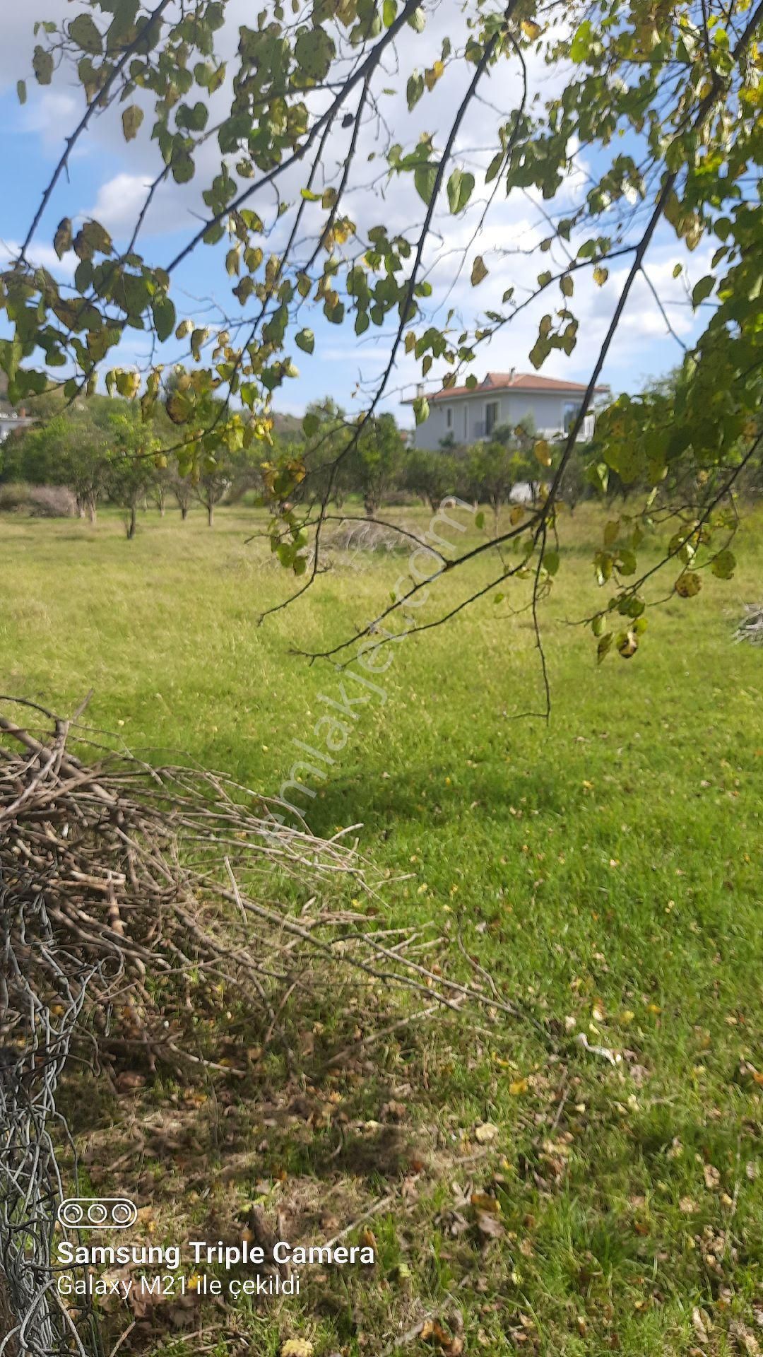 Fevziyede Satılık Rızai Taksimli 2510 M2 Yer.videosu Mevcut - Görsel 7