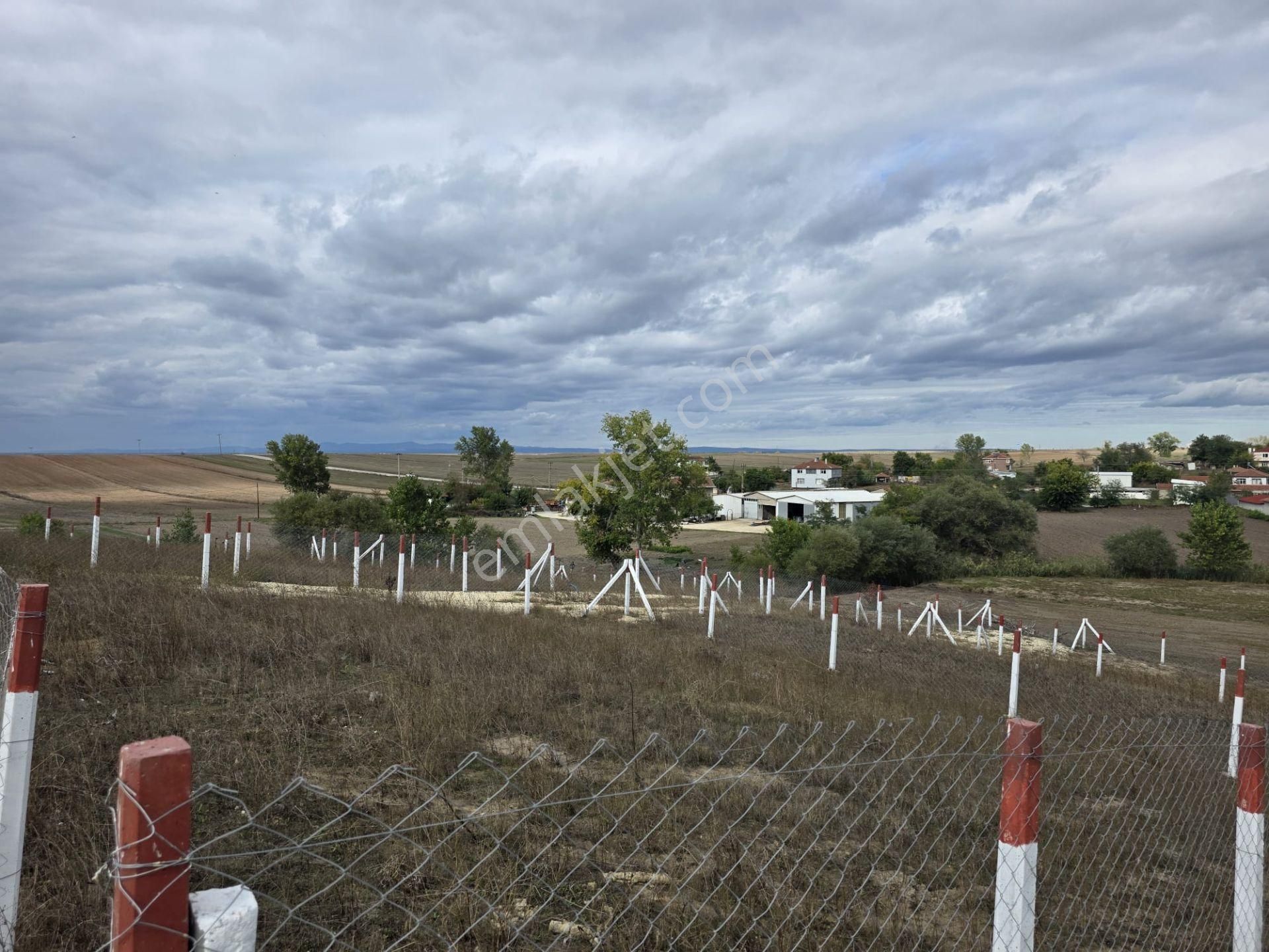 Saray Göçerler'de 246m2 Köy Yanı Satılık Arsadan Hisse - Görsel 4